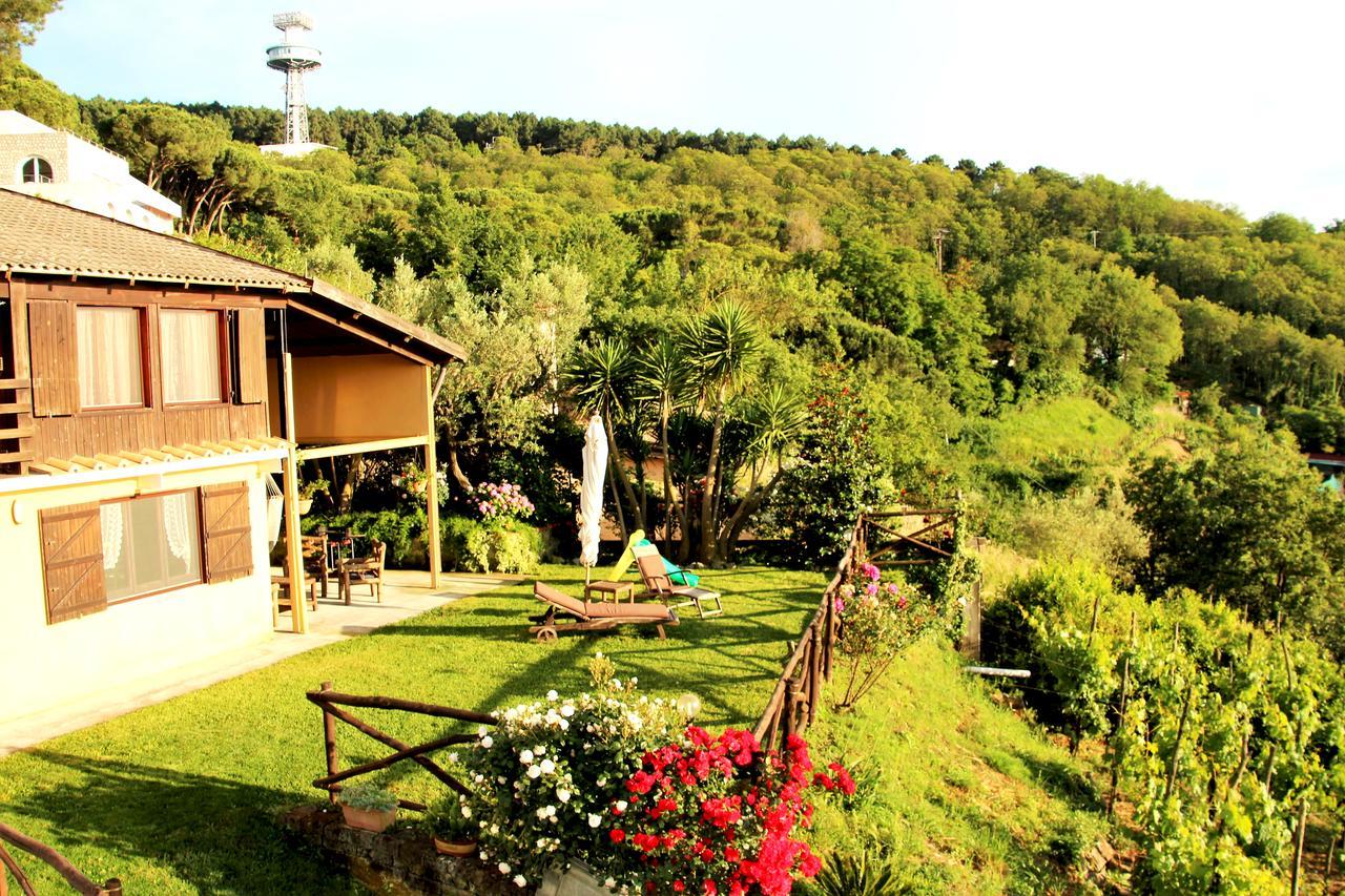Villa Chalet Annie Sorrent Exterior foto